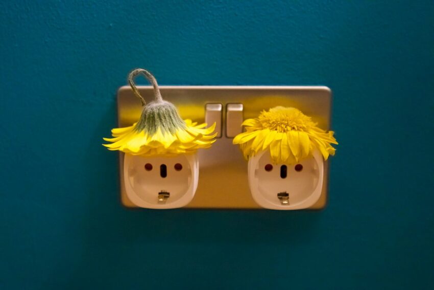 Two electrical sockets decorated as faces with flowers